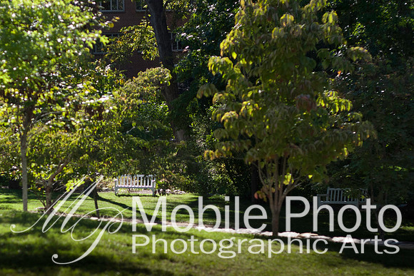 r-karen-darrell-0242