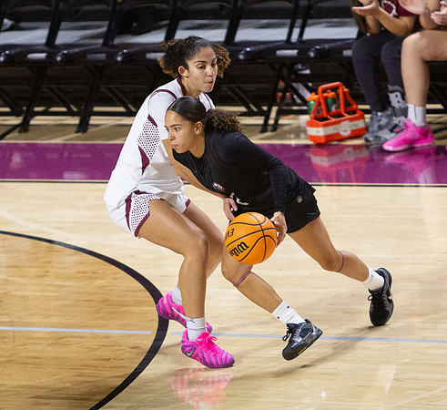 028-R-11-15-25-ROA COLLEGE-Bball-8809