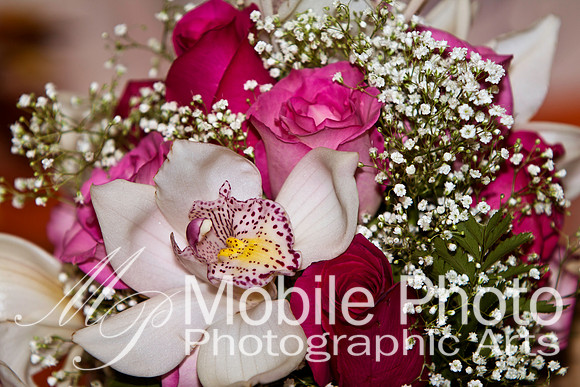 Mobile Photo Wedding in Big Island Virginia