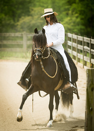 10-Horses-0084