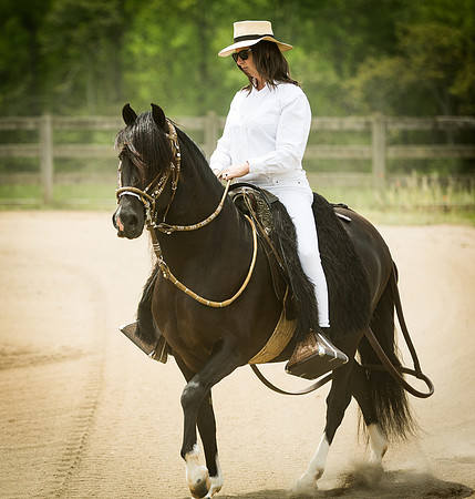 12-Horses-0088