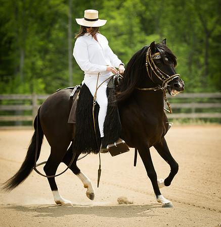 13-Horses-0092