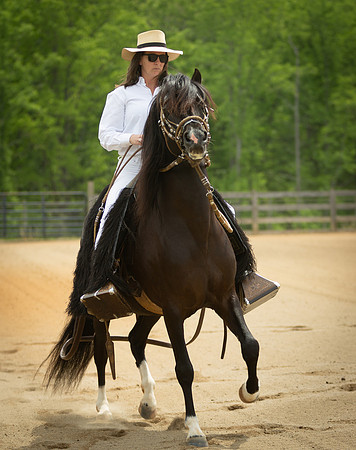 14-Horses-0105