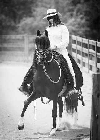11-Horses-0084