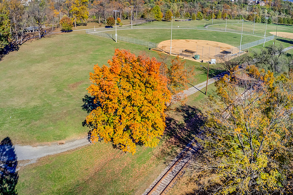 Wasena Park 11-03-19-8-15