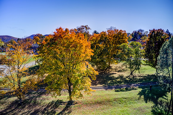Wasena Park 11-03-19-8-16
