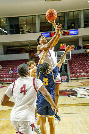 41 J-01-03-24-Roa-Colg-Mens-Bball-8817