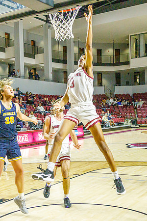 49 J-01-03-24-Roa-Colg-Mens-Bball-8832