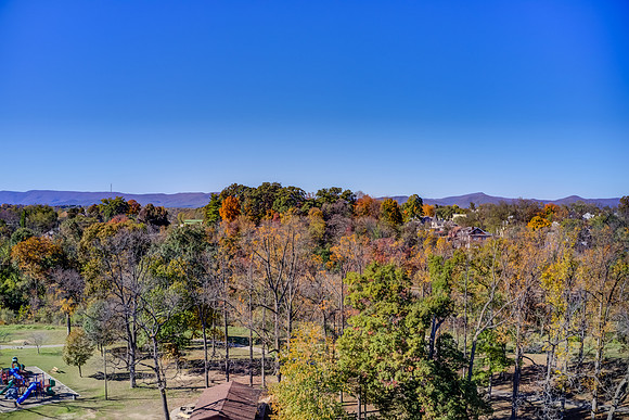Wasena Park 11-03-19-8-20