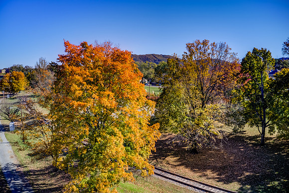 Wasena Park 11-03-19-83