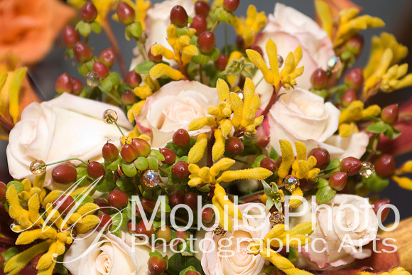 j_whitaker-8528.jpg