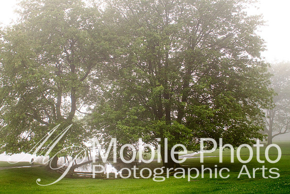 j-todd-casey_9247-Edit.jpg