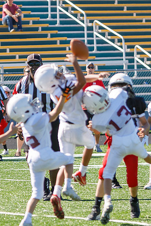 43 J-10-19-24-Salem-Botetourt-Sandlot- Fball-10s-7009 October